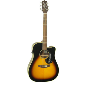 Acoustic Guitar - Takamine Acoustic Electric