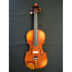 Gliga II Violin 4/4 Genova Outfit