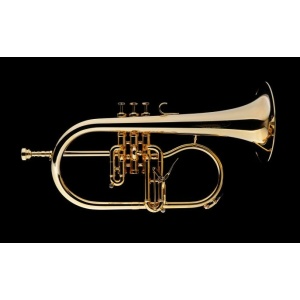 James Morrison Meister Flugelhorn-Gold Plated